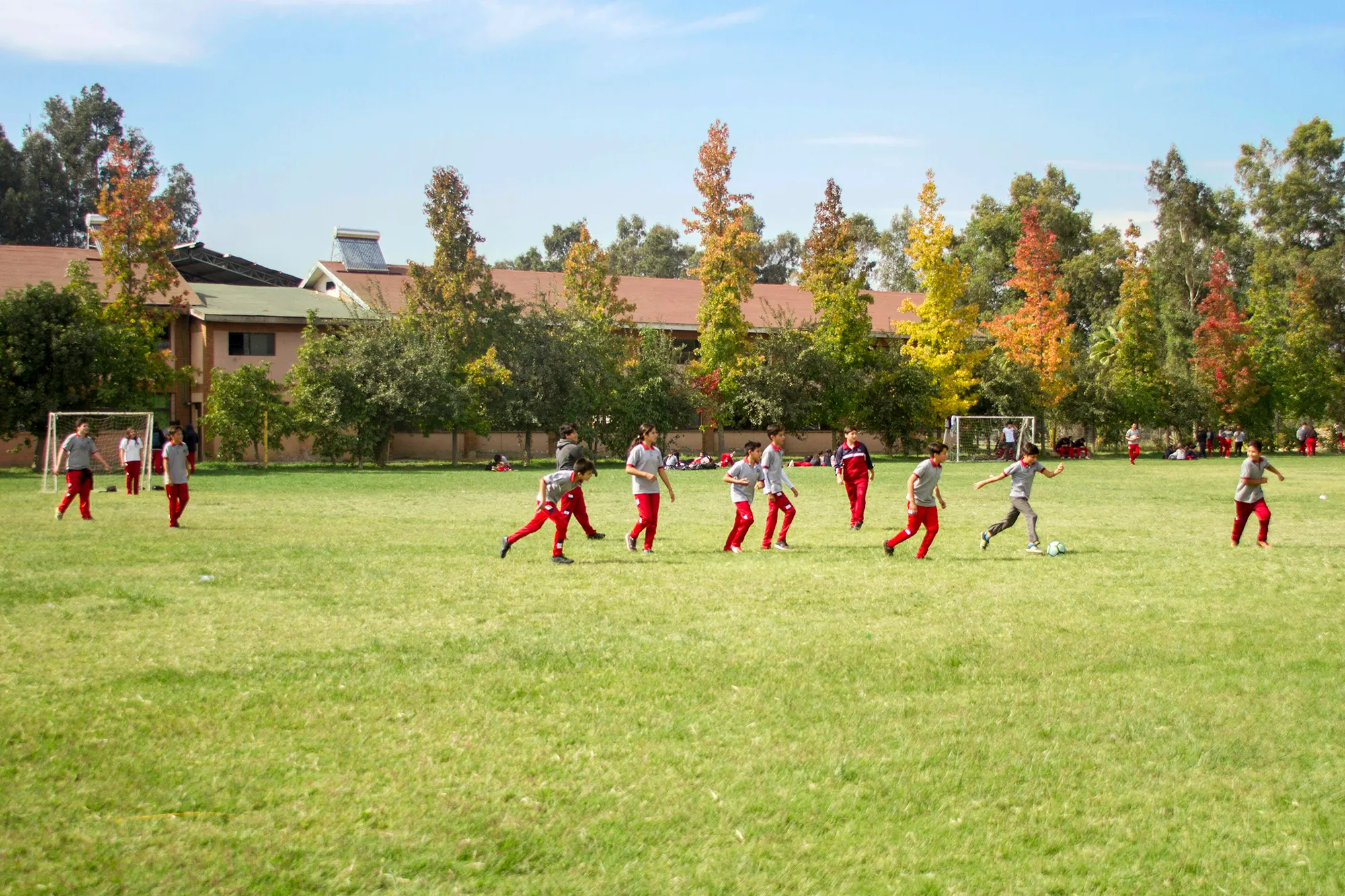 Entorno del Proyecto