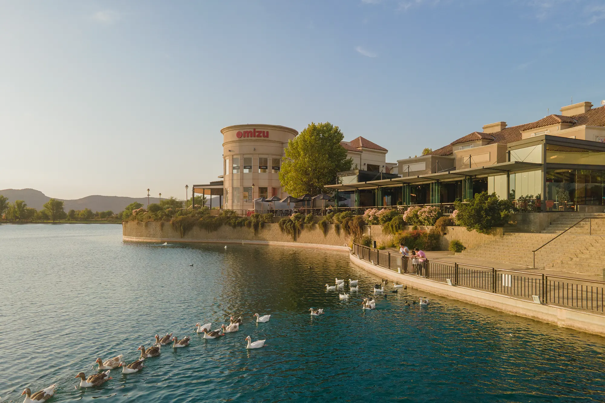 Entorno del Proyecto